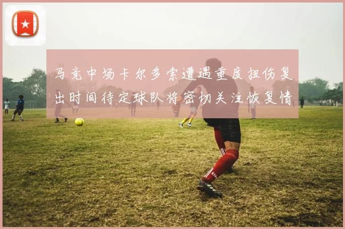 马竞中场卡尔多索遭遇重度扭伤复出时间待定球队将密切关注恢复情况
